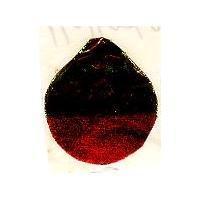 新香珍及圖