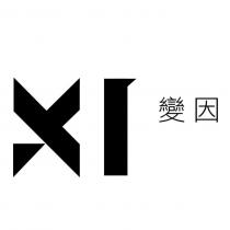 變因 XI 設計圖