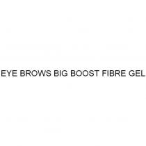 EYE BROWS BIG BOOST FIBRE GEL