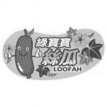 綠寶寶絲瓜 LOOFAH 及圖
