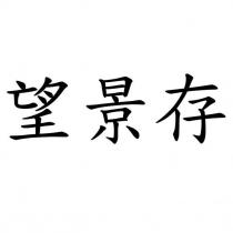 望景存