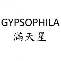 GYPSOPHILA 滿天星