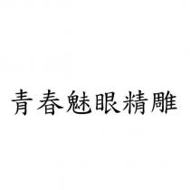 青春魅眼精雕