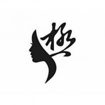 極設計圖