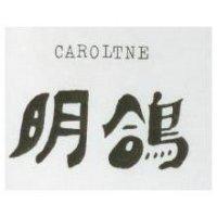 明鴿 CAROLTNE