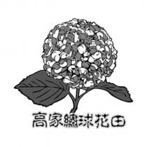 高家繡球花田及圖