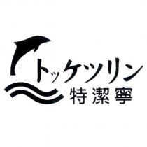 特潔寧 トッケツリン 及圖