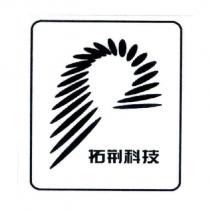 拓荊科技及旋轉線條圖形