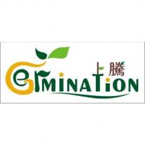 上騰 Germination 及圖