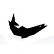 魚圖