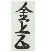 金上正