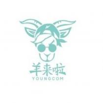 羊來啦 YOUNGCOM 及圖