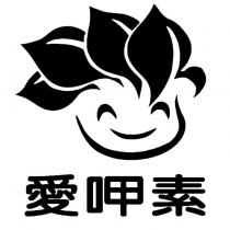 愛呷素及圖