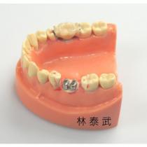 林泰武及圖
