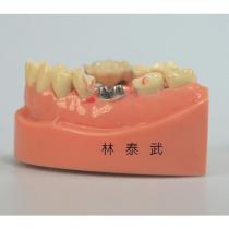林泰武及圖