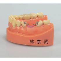 林泰武及圖