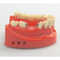 林泰武及圖