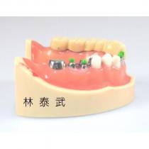 林泰武及圖