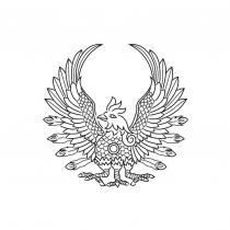 金烏鳥設計圖