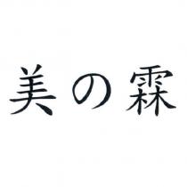 美の霖