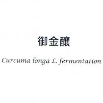 御金釀 Curcuma longa L. fermentation