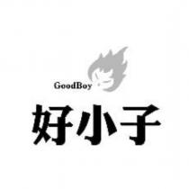 好小子及圖 GoodBoy