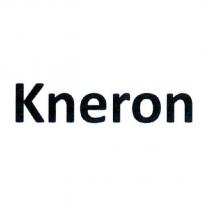 Kneron