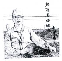 好運無毒蝦養殖場及圖