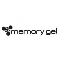 memory gel 及圖