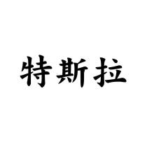 特斯拉