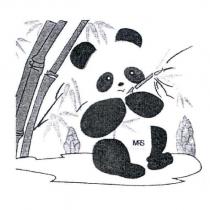 貓熊圖 MRS