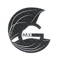MX 及圖
