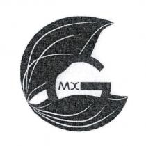 MX 及圖