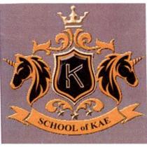 SCHOOL of KAE 及圖