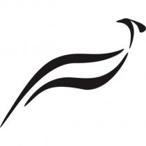 鳥設計圖