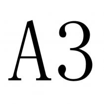 A3