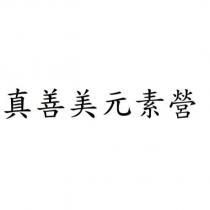 真善美元素營