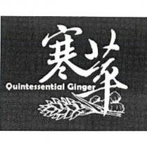 寒萃 Quintessential Ginger 及圖