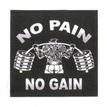 NO PAIN NO GAIN 及圖