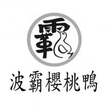 波霸櫻桃鴨及圖