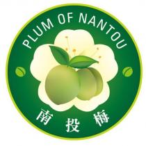 南投梅 PLUM OF NANTOU 及圖