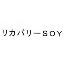 リカバリー SOY