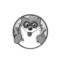 浣熊圖