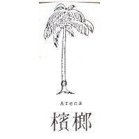 檳榔及圖 ACECA