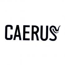 CAERUS 之設計字及圖