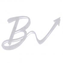 BV 設計圖