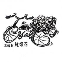 三輪車乾燥花及圖