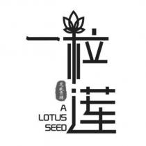 一粒蓮 A LOTUS SEED 龍威貢牌及圖