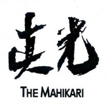 真光 THE MAHIKARI