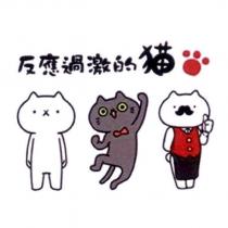 反應過激的貓及圖